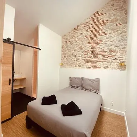 Maison Restauree Avec Piscine * La Sauvetat-sur-Lede